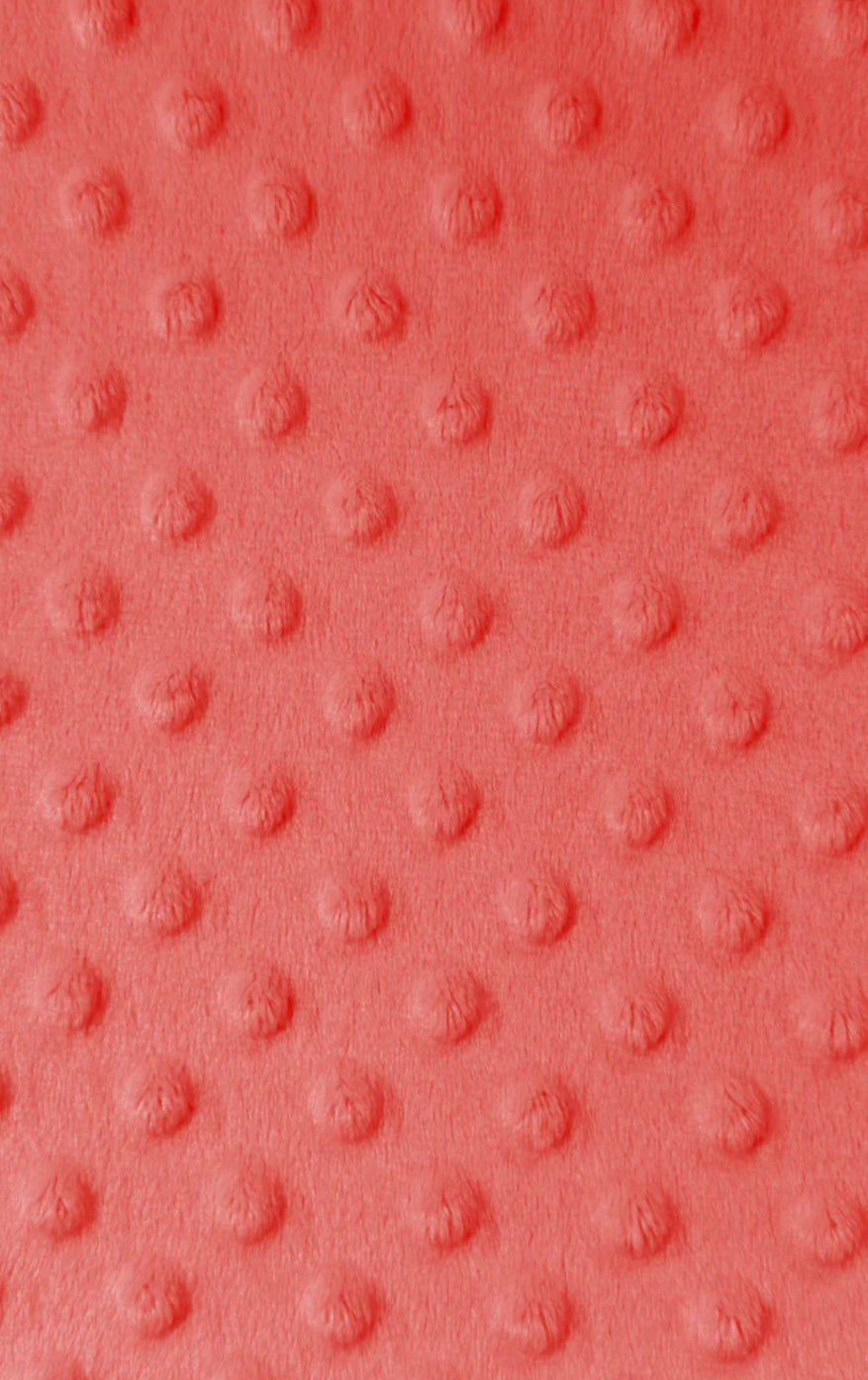 Couverture Minky - Dino petits pieds