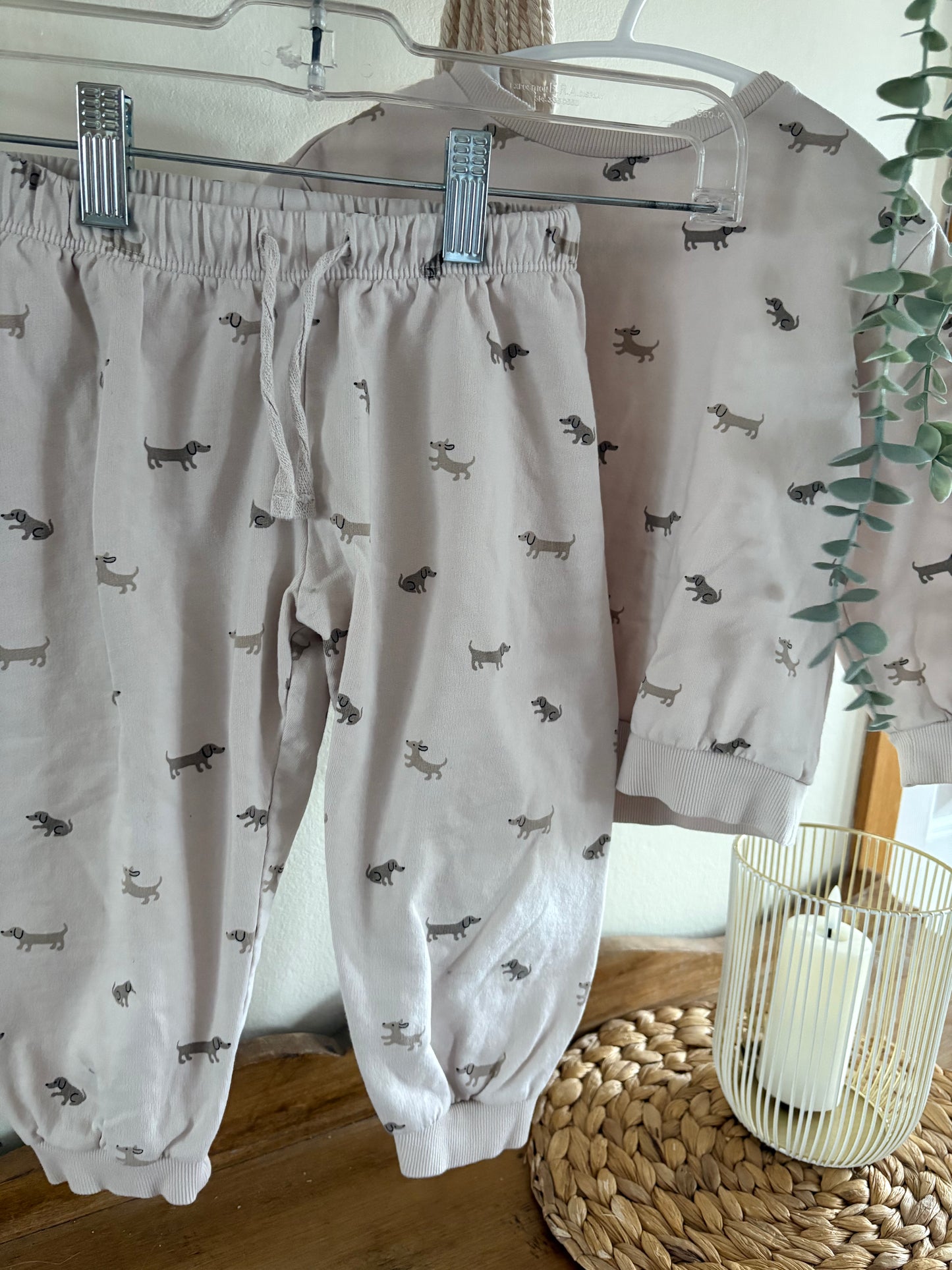 Ensemble chiens 1 1/2-2ans