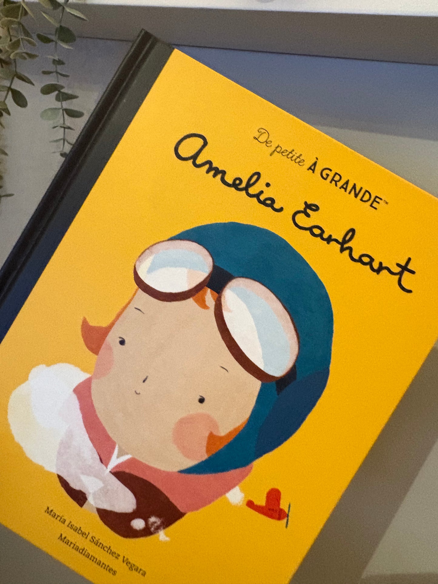 Livre Amelia Earhart NEUF