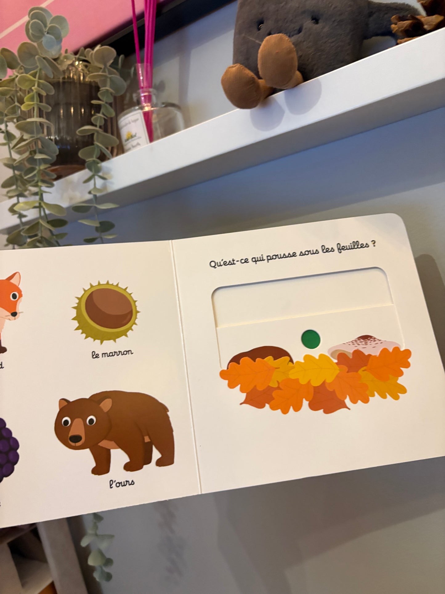 Livre mon imagier la foret