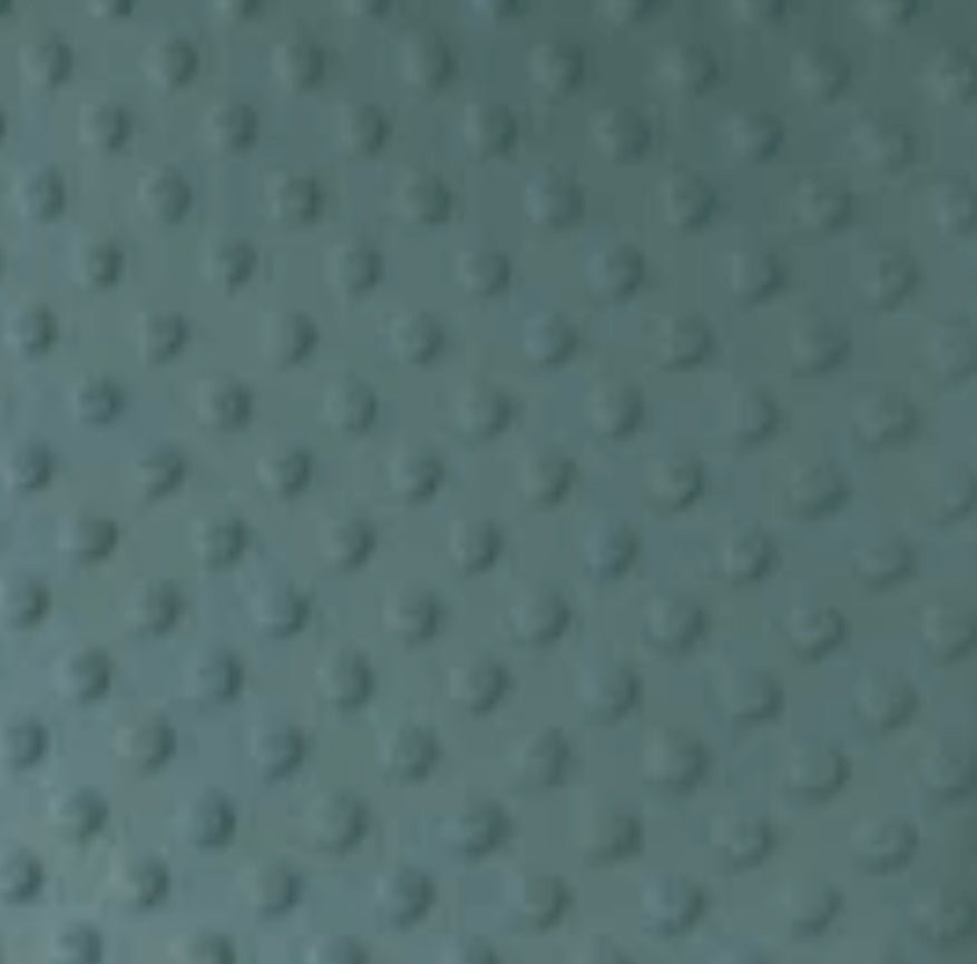 *Doudou Minky - Dino beige (choix de couleurs verso) - Boutique friperie le placard de Jeanne et cie