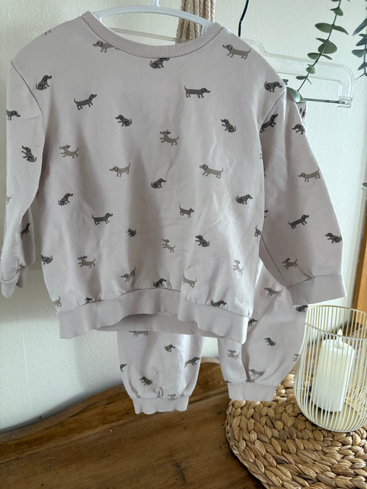 Ensemble chiens 1 1/2-2ans