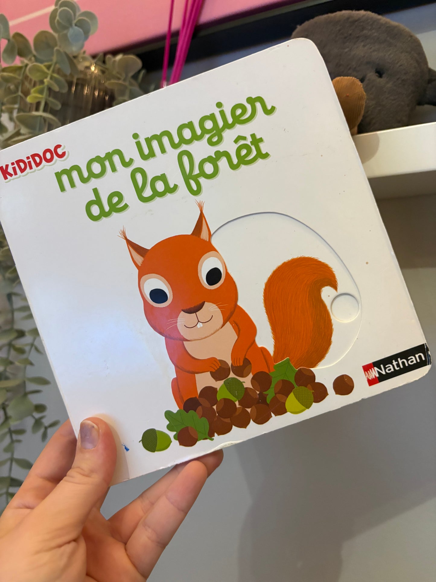 Livre mon imagier la foret