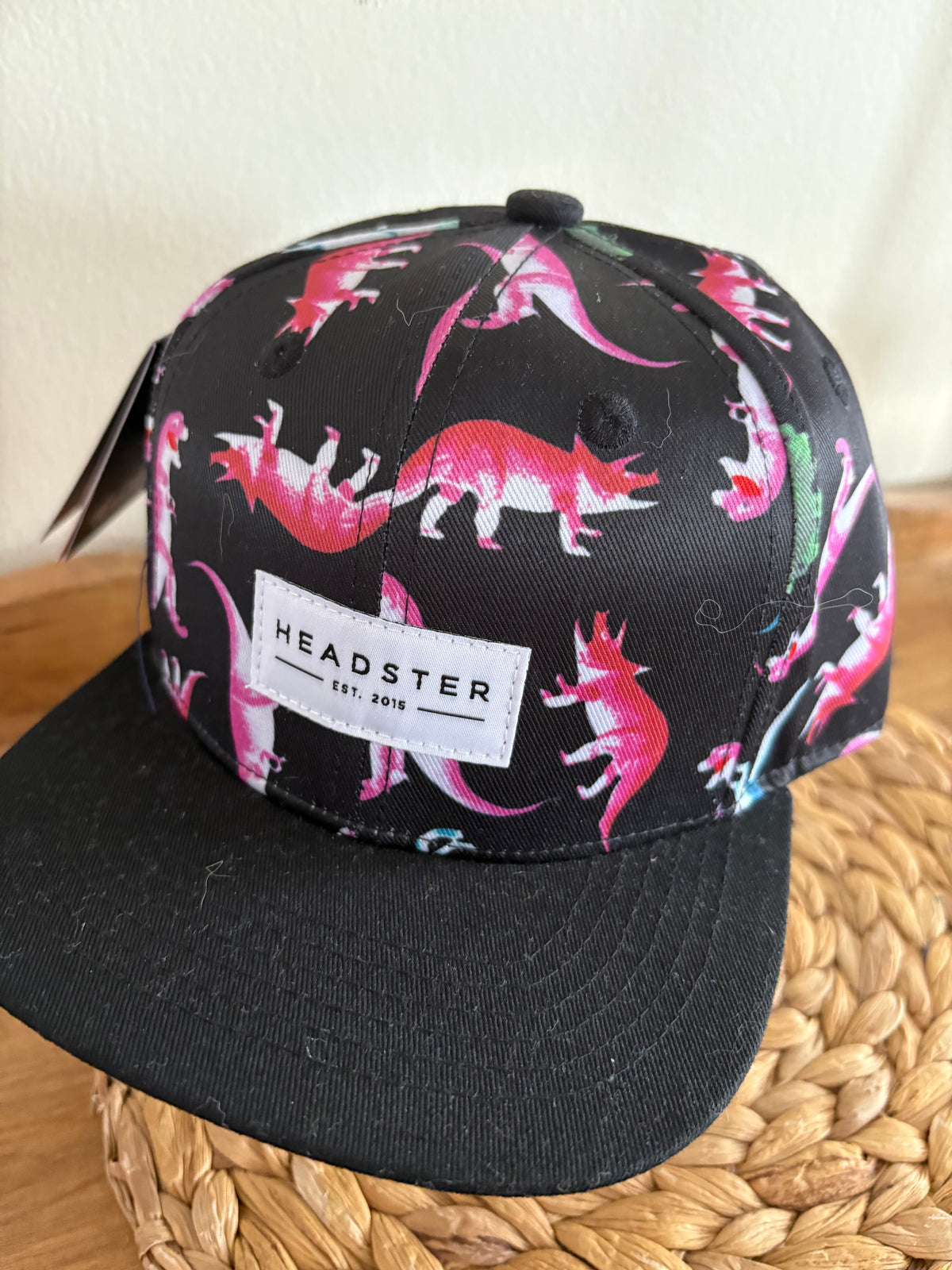 Casquette dino NEUVE