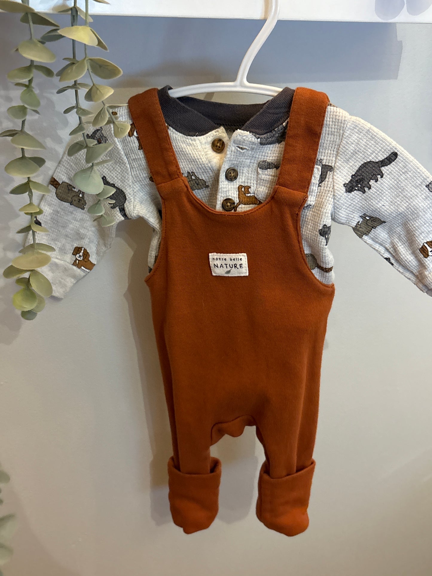 Ensemble new born