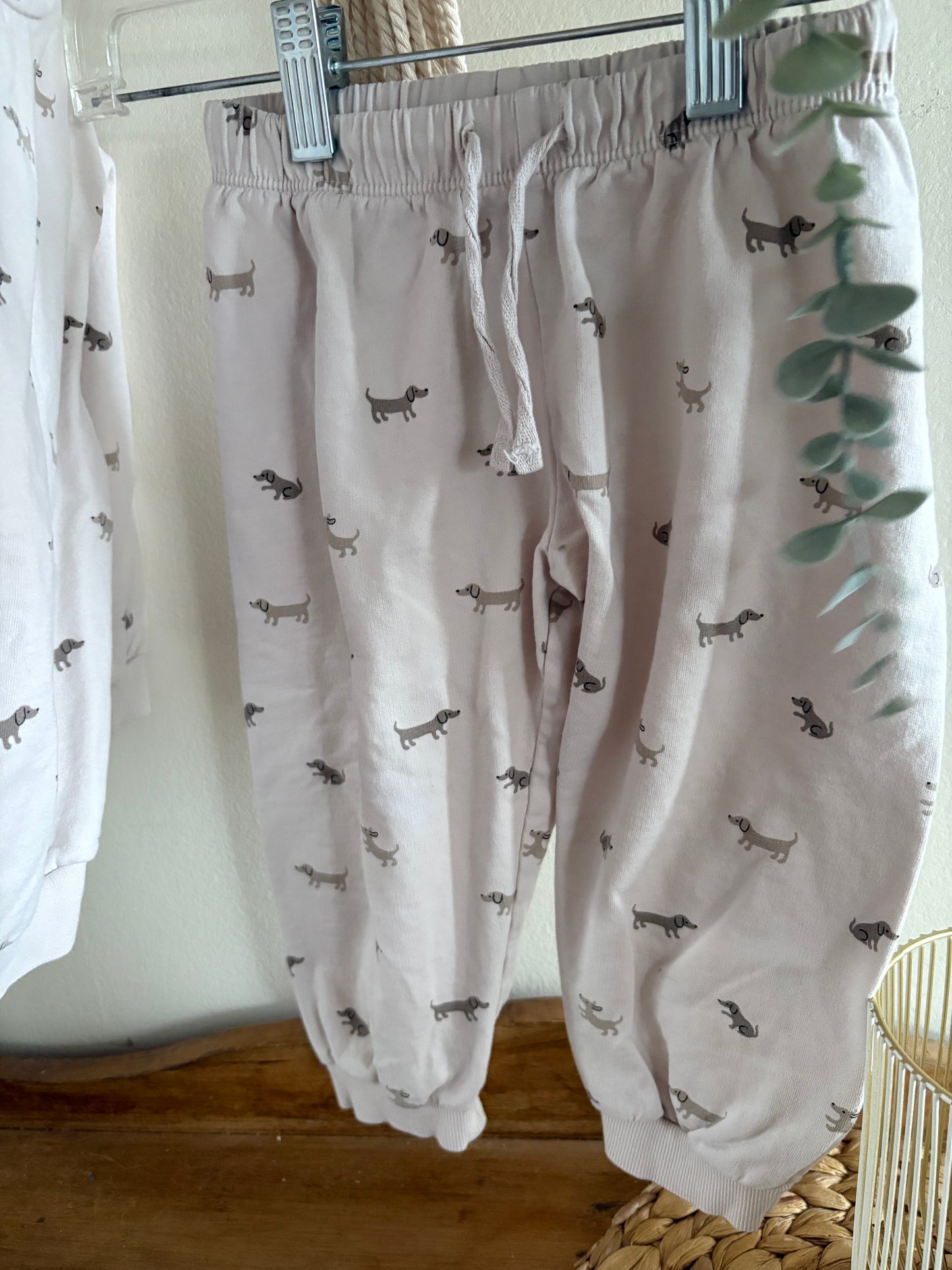 Ensemble chiens 1 1/2-2ans