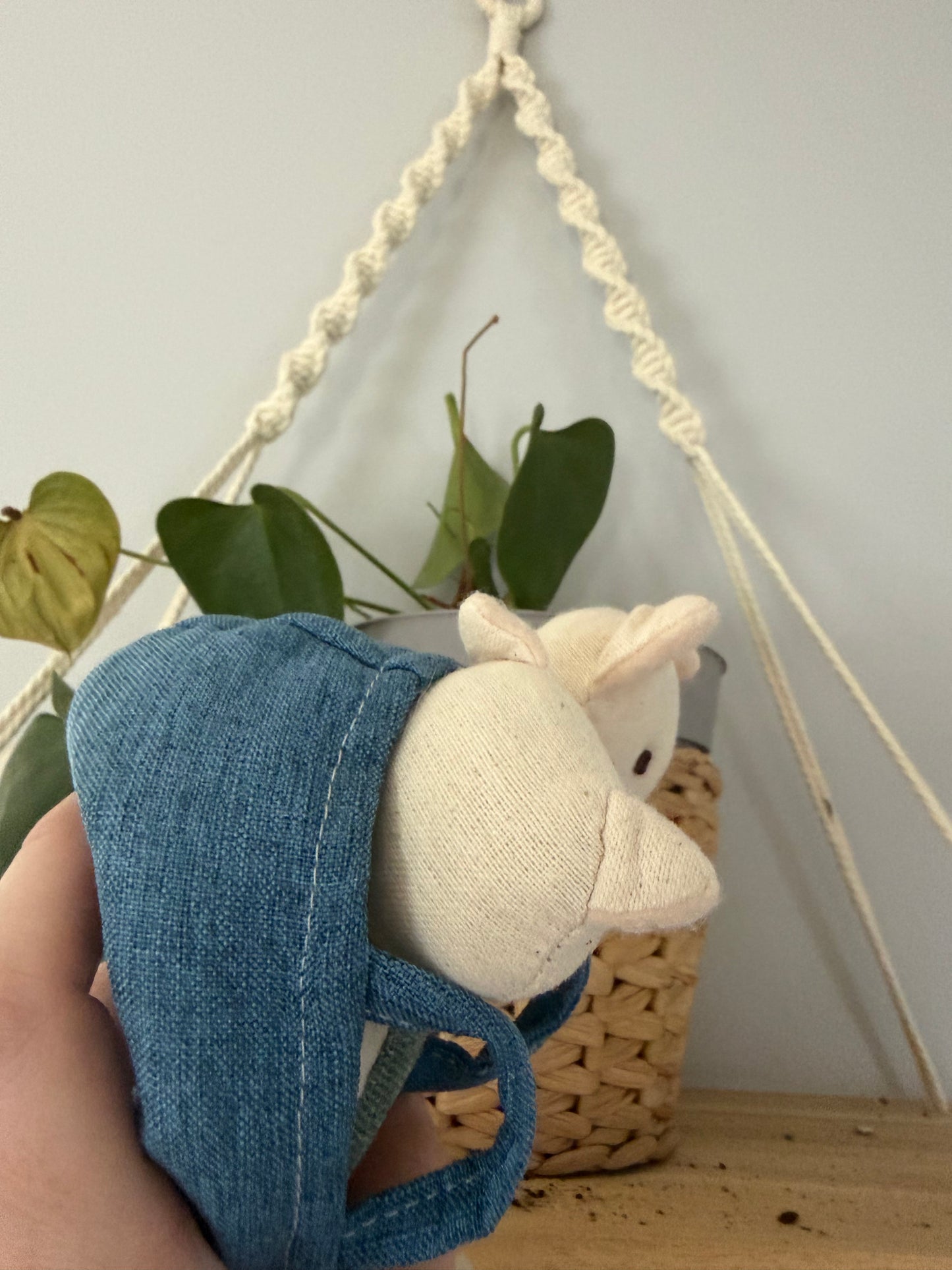 Peluches