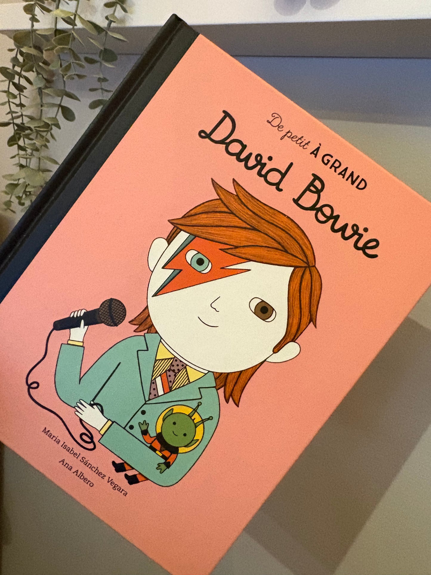Livre David Bowie NEUF