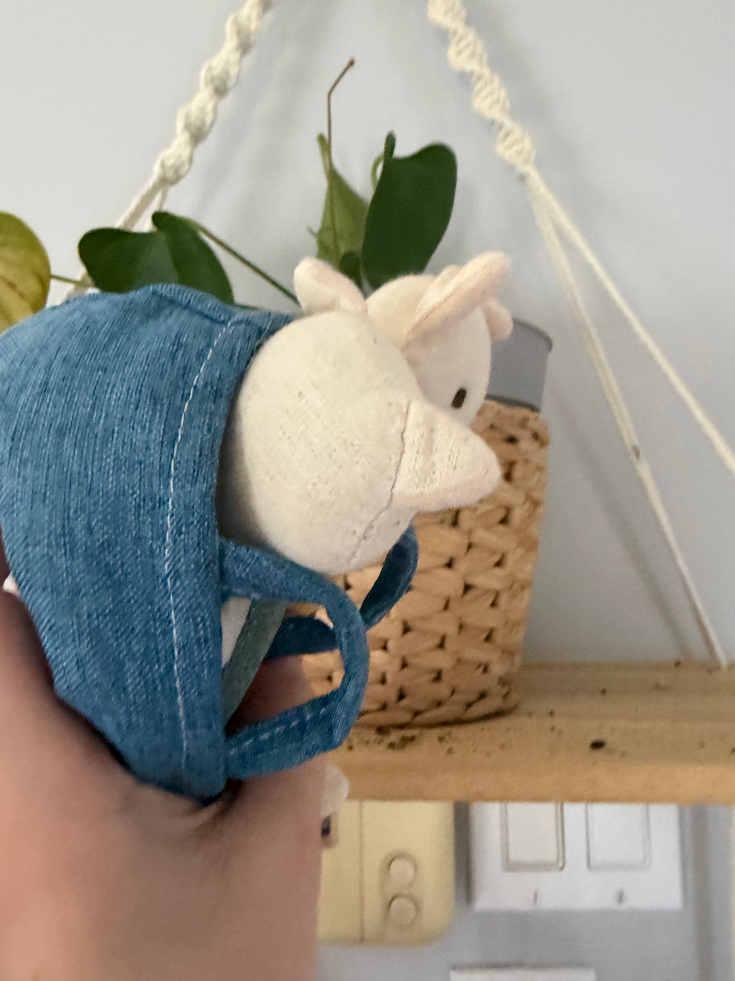 Peluches