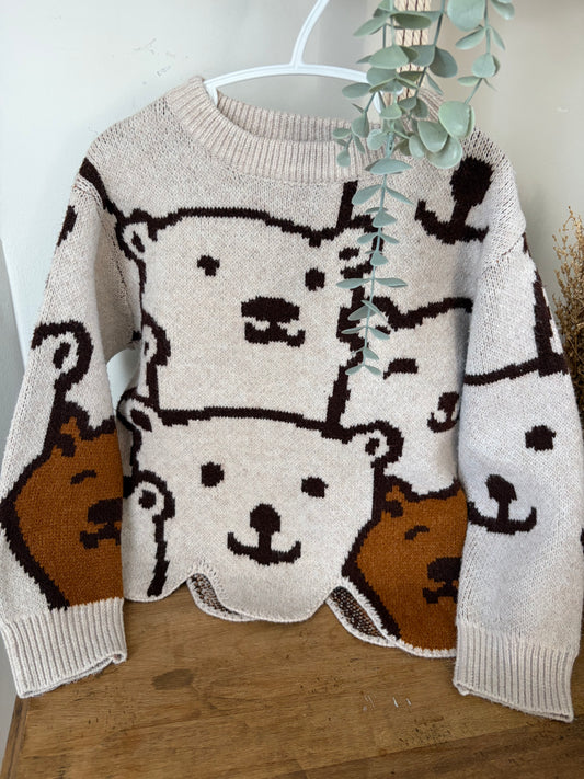 Chandail 4-5ans (110)