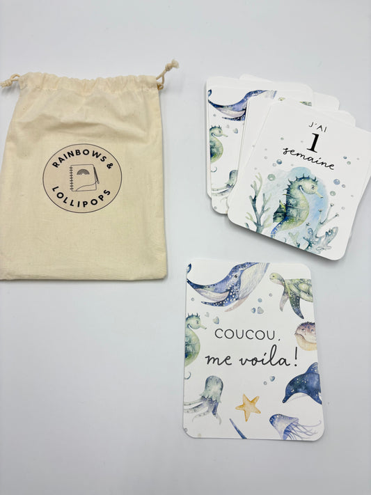 Carte d’etapes la mer NEUF