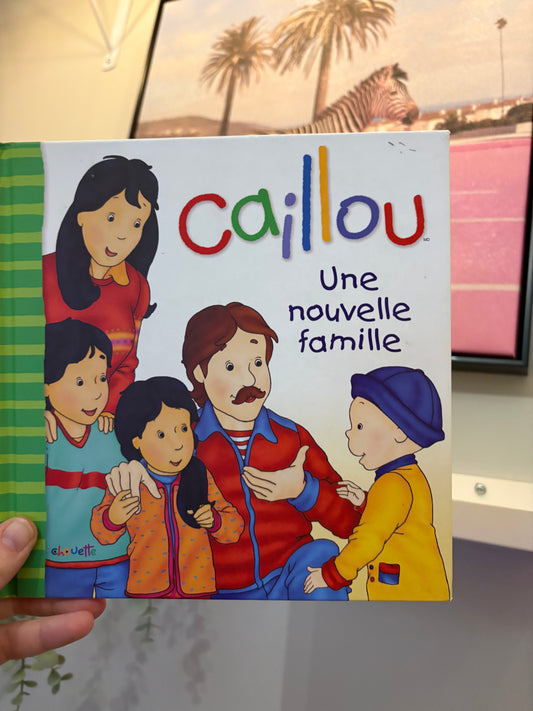 Livre caillou