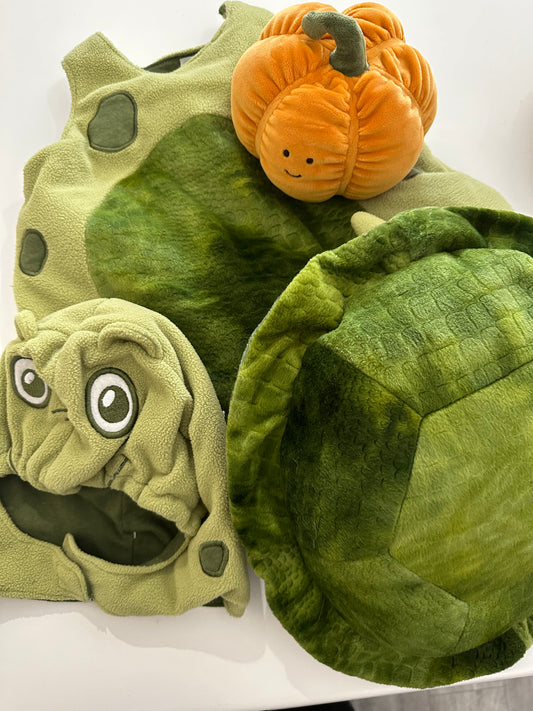 Costume Halloween  12-18 mois