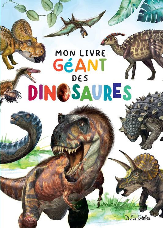 Pré-vente Mon géant livre des Dinosaures - Boutique friperie le placard de Jeanne et cie
