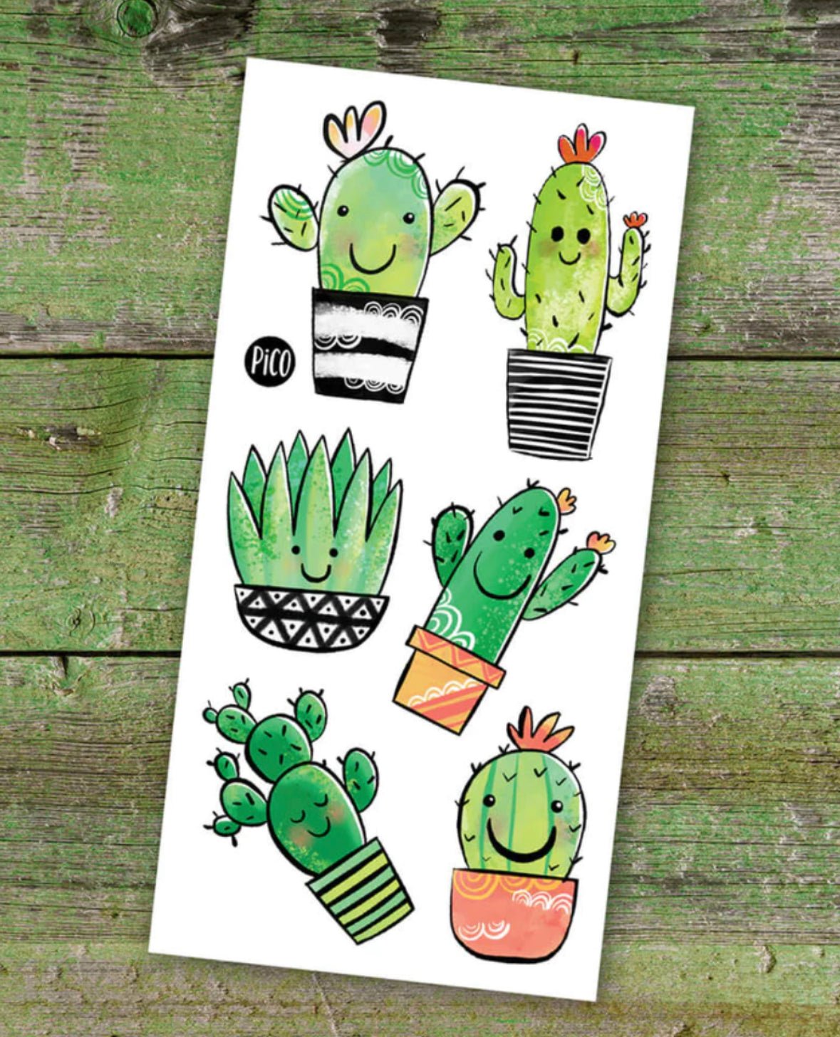 Tatouages temporaires Les cactus coquins Pico Tatoo - Boutique friperie le placard de Jeanne et cie